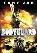 Bodyguard - DVD